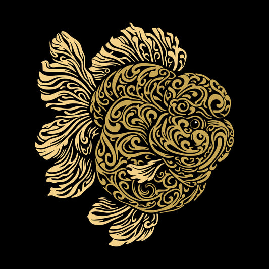 Golden Current (Oranda goldfish)