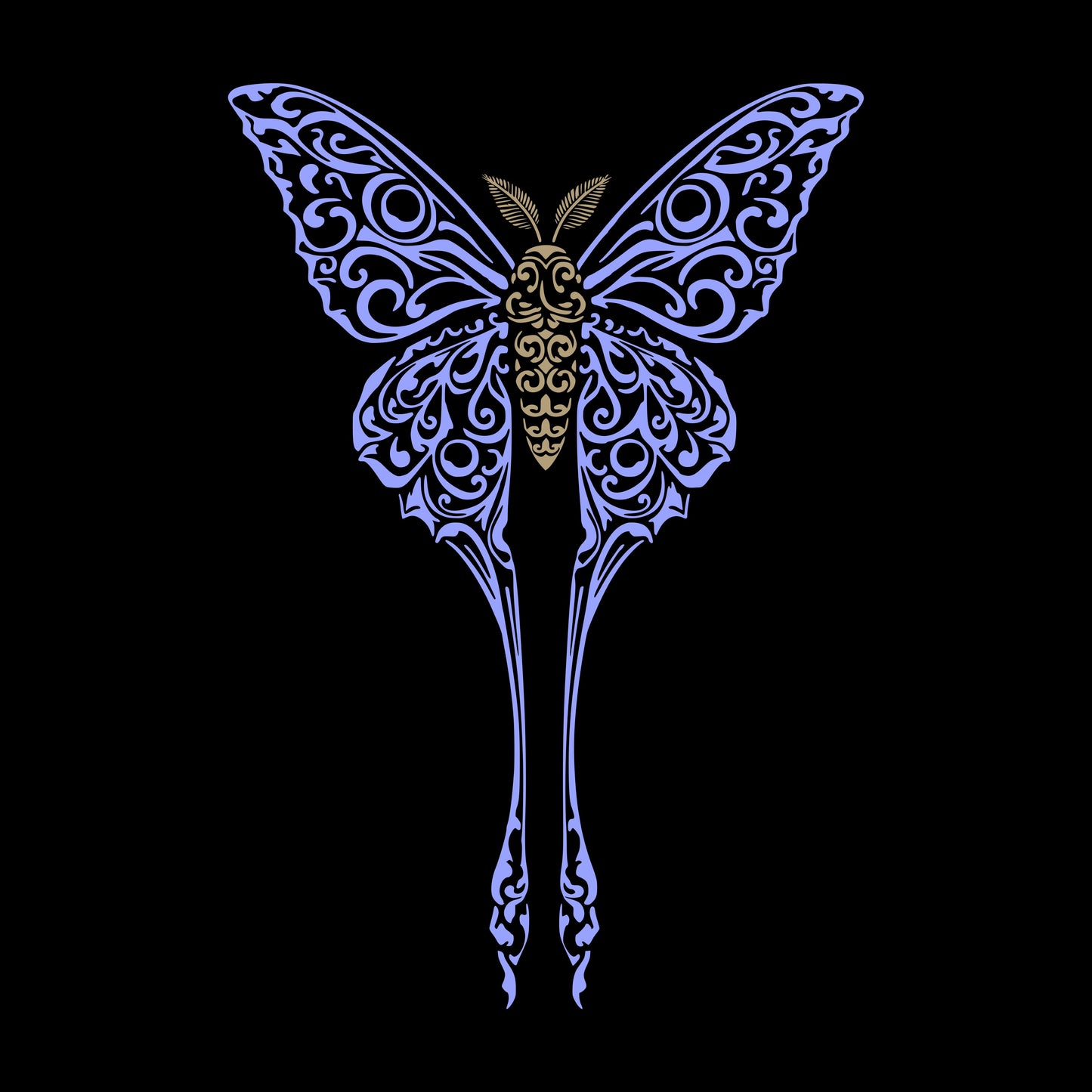 Silent Wing (Moth)