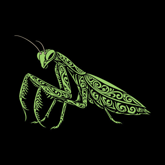 Still Hunter (Praying Mantis)