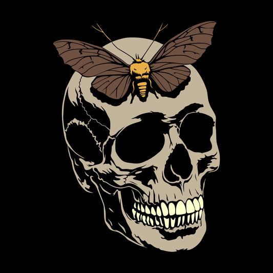 Brown moth on a large taupe skull with contrasting whitish teeth