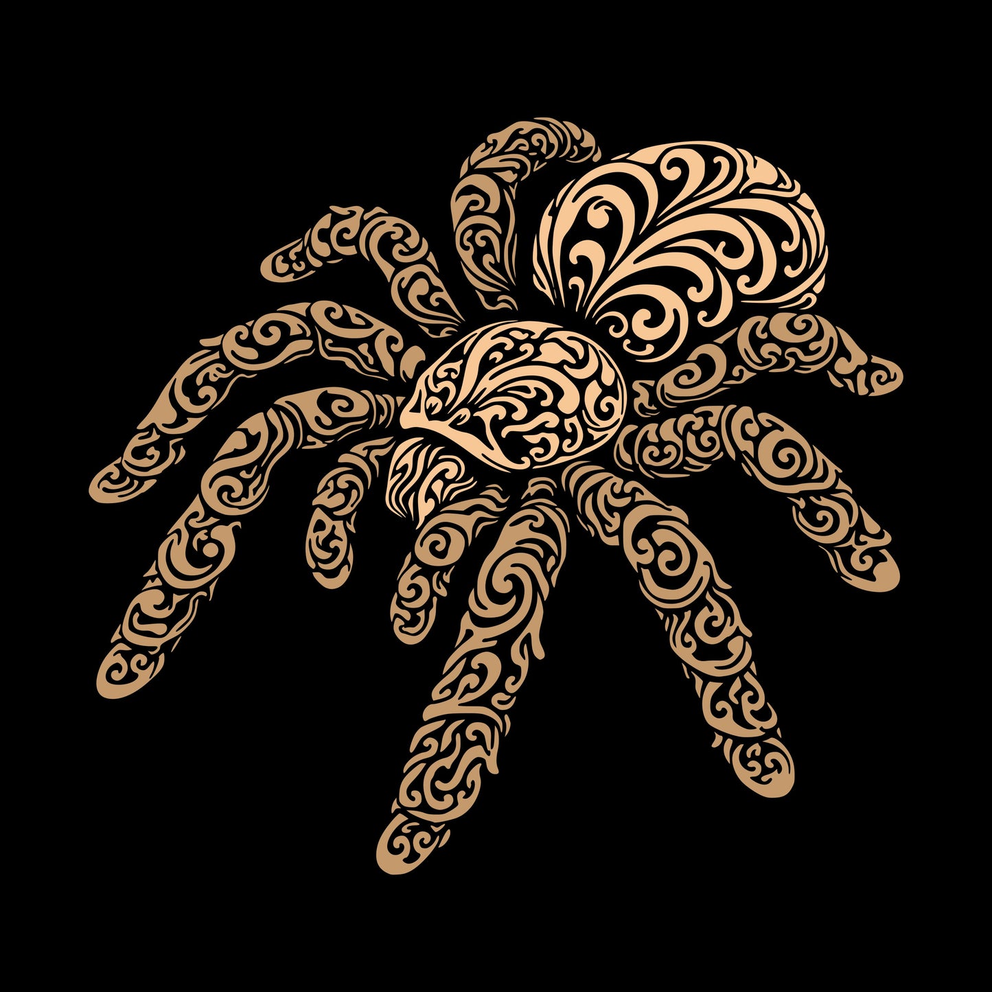 Silk Lurker (Tarantula)
